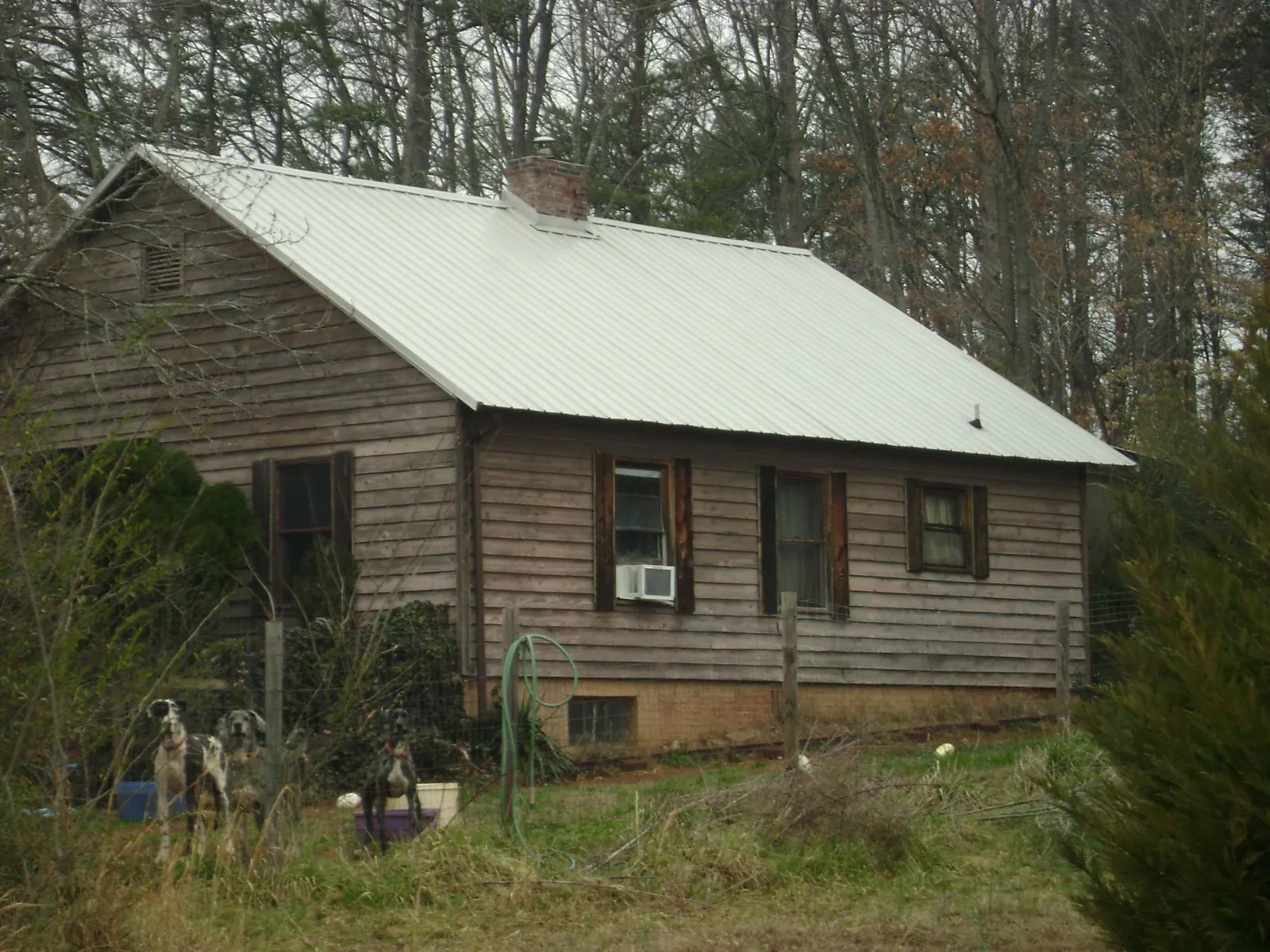 White metal roof on an old wood sided farmhouse, from a Asphalt Shingle Roof Repair job in Reesville